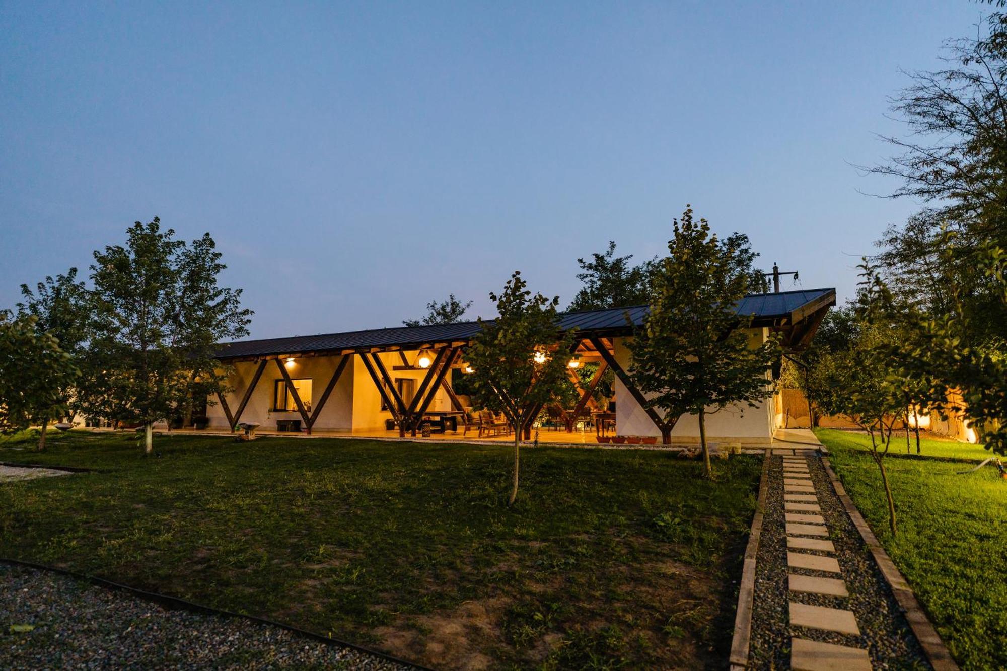 The Tribe Alpaca Retreat Hotel Branesti Exterior photo